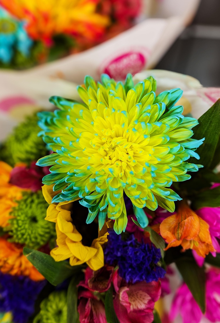 Ramo de flores frescas